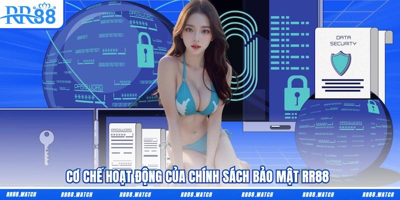 Cơ chế hoạt động của Chính sách bảo mật RR88 